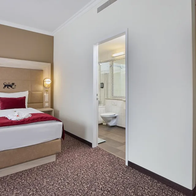 Top, Deluxe, Single Bed, with View، HOTEL ST GOTTHARD 9/10