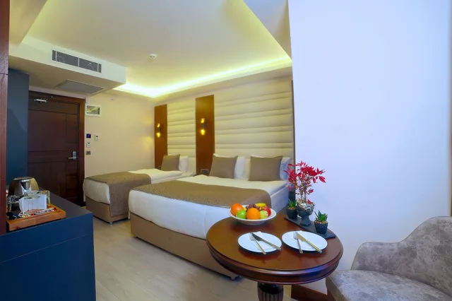 غرفة ثلاثية بسرير مزدوج وسرير فردي، My Dream Hotel Istanbul 7/10