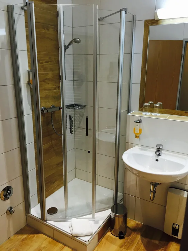 Standard, Convertible Double Bed، Best Western City-Hotel Braunschweig 2/4