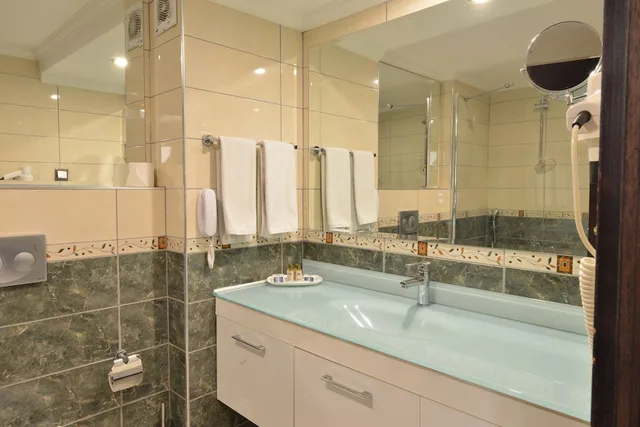 غرفة قياسية بسرير مزدوج، Anadolu Hotels Esenboga Thermal 8/8