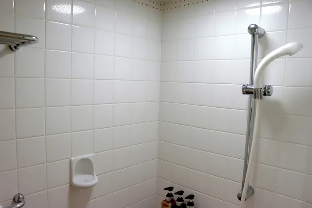 Room, 4 Beds, West Wing، Shiga Kogen Prince Hotel 5/5