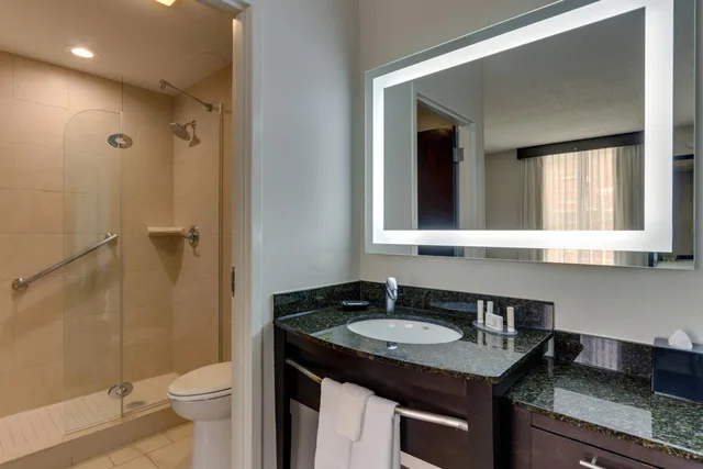 Studio, Queen Bed, SpringHill Suites Birmingham Downtown at UAB 1/1