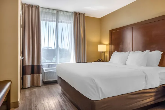 غرفة قياسية بسرير كينج، Comfort Inn & Suites At Crossplex Village 1/9