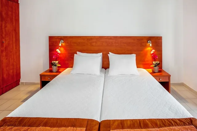 غرفة قياسية بسرير مزدوج بإطلالة على البحر، Xenios Dolphin Beach Hotel 6/7