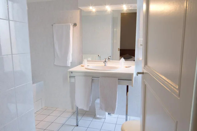 Room, Twin Beds, COMFORT HOTEL ACTUEL CHAMBERY CENTRE 8/10