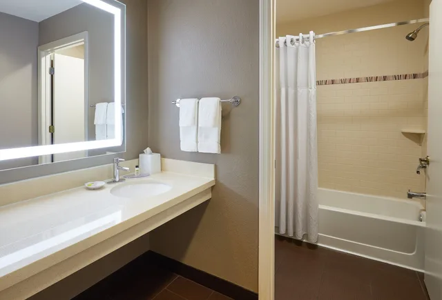 جناح بسرير كينج بغرفة نوم واحدة مع أريكة بمطبخ، Staybridge Suites Orlando Airport South 2/3