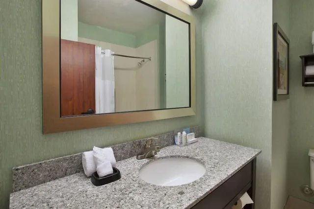 جناح بسرير كينج مع أريكة بمطبخ، Larkspur Landing Hotel South Bend 2/2