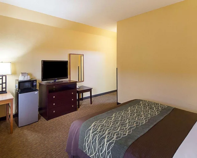 جناح بسرير كينج، Comfort Inn Mission - McAllen West 3/3