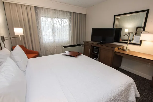 غرفة بسرير كينج مع أريكة بحوض استحمام لذوي الإعاقة، Hampton Inn Albany-Western Ave/University Area 1/4