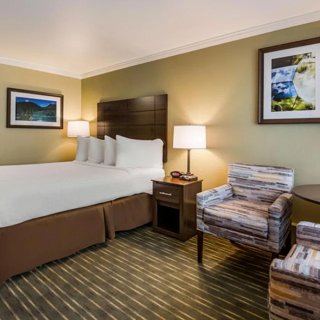 جناح بسرير كوين، Best Western Holiday Hotel 5/9