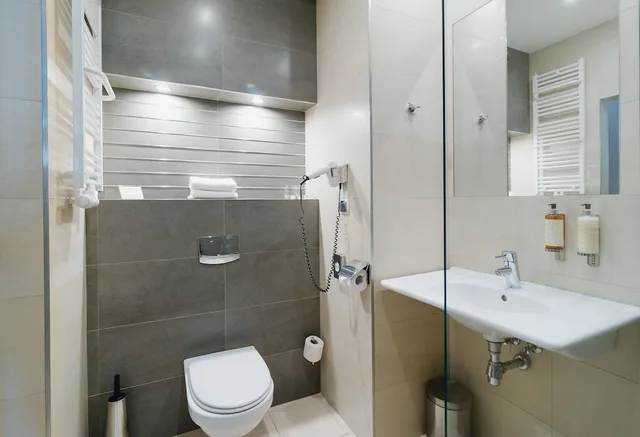 جناح جونيور بسرير مزدوج، Focus Hotel Premium Elblag 3/3