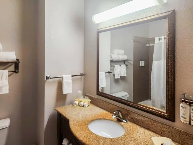 جناح بسريرين كوين لذوي الإعاقة، Holiday Inn Express Hotel Suites Terrell 2/2