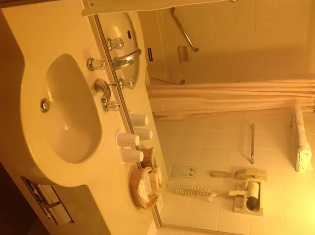 غرفة صغيرة بسرير مزدوج، Narita Gateway Hotel 6/6