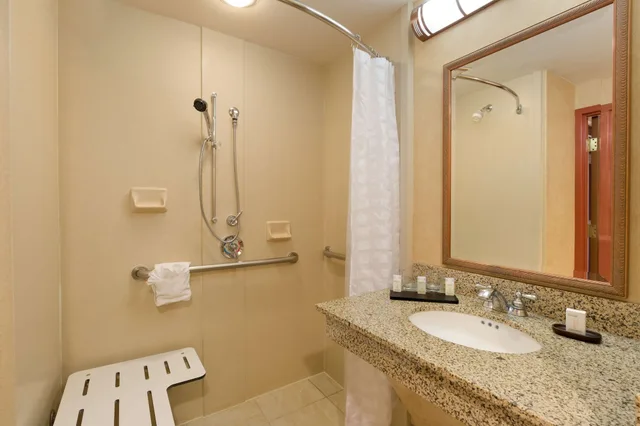 جناح بسريرين كوين بغرفة نوم واحدة لذوي الإعاقة، Embassy Suites by Hilton Dallas Frisco Hotel and Convention Center 4/4