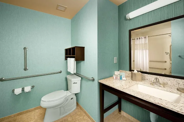 Room, King Bed, 2 Queen Beds, Accessible, Hampton Inn Pampa 3/3