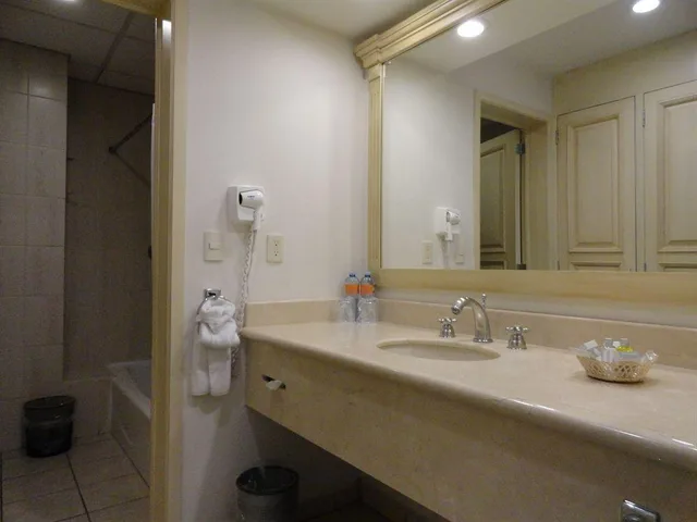 غرفة سوبيريور بإطلالة على المسبح، Hotel Real de Minas Bajio 3/3