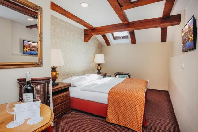 غرفة اقتصادية، Wenceslas Square Hotel 1/3