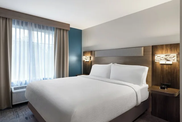 Standard, King Bed, Holiday Inn Express Savannah Airport Ex Comfort Suites 1/2