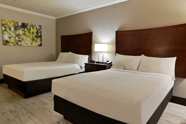 Classic, 2 Double Beds, Wyndham Garden Summerville 4/10