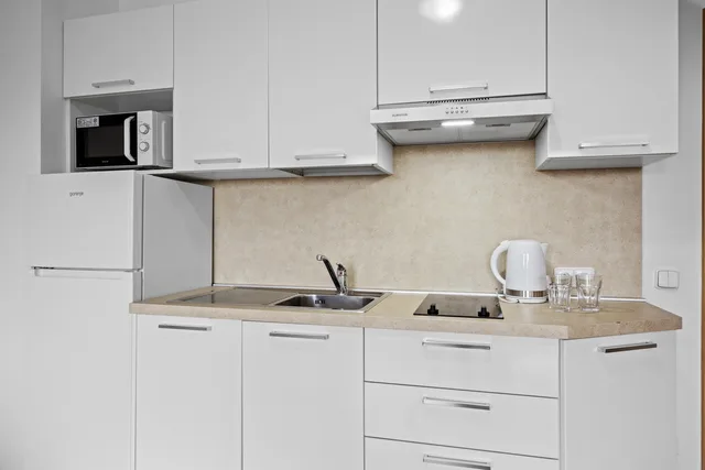 Studio apartment for 2 persons with balcony، Prague City Residence 8/8