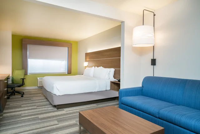 غرفة بسرير كينج لذوي الإعاقة، Holiday Inn Express & Suites Rocky Mount/Smith Mtn Lake 1/1