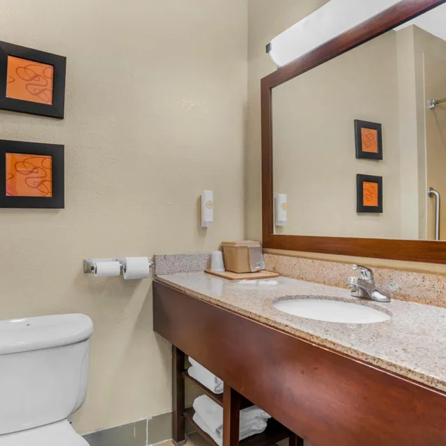 جناح ديلوكس بسرير كوين مع أريكة، Comfort Suites Montgomery East Monticello Dr 8/9