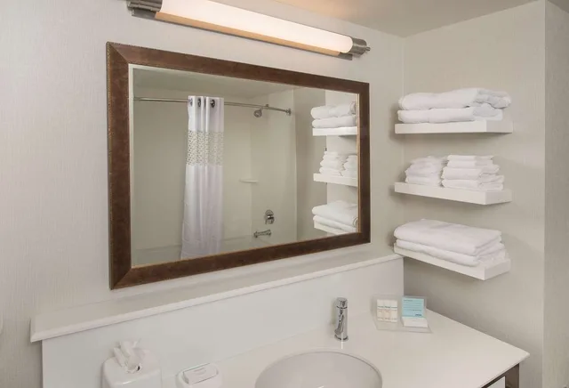 غرفة بسريرين كوين بإطلالة لذوي الإعاقة، Hampton Inn & Suites Braselton 2/3