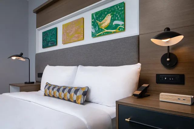غرفة بسرير كينج لذوي الإعاقة، Hotel Indigo Chattanooga Downtown 2/4