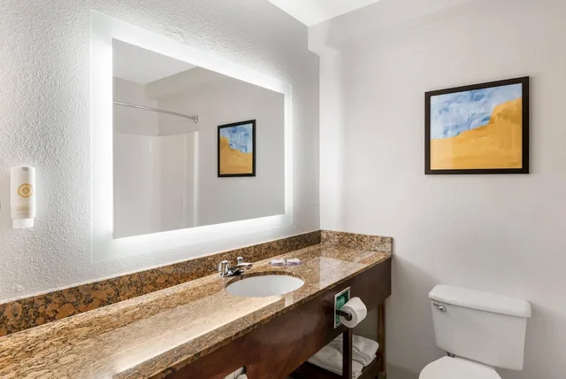 غرفة قياسية بسريرين كوين، Comfort Inn Suites Suwanee Sugarloaf 7/8