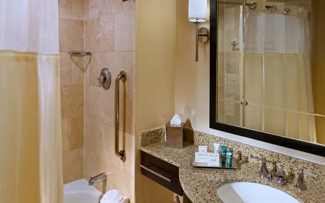 غرفة تنفيذية بسرير كوين، Hilton Americas Houston 4/6