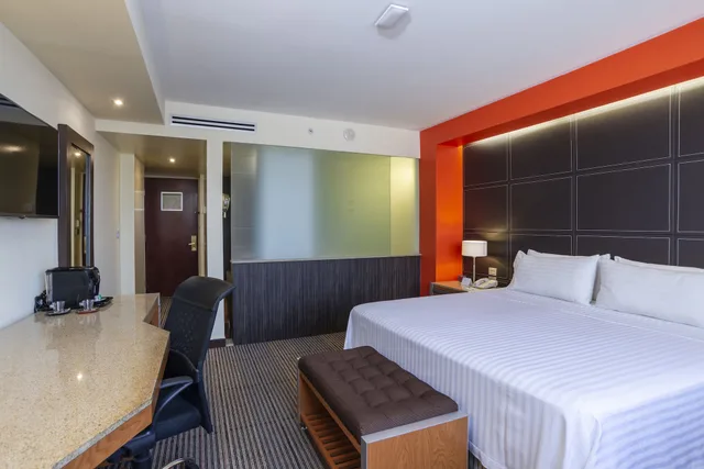 غرفة قياسية بسرير كينج، Holiday Inn Mexico City-Plaza Universidad 2/10