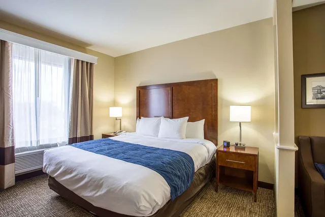 جناح بسرير كينج، Sonesta Essential Hotels Baton Rouge 1/7