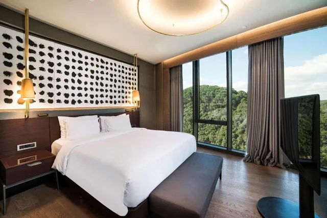 Junior Suite, King Bed, City and Forest View، Radisson Collection Hotel Vadistanbul 1/3