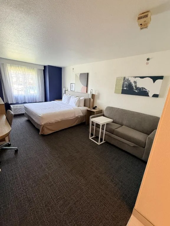Room, King Bed, Sofa, Accessible, Spark by Hilton Appleton 1/10