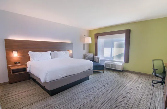 غرفة بسرير كينج، Holiday Inn Express Suites Mobile University Area 4/5