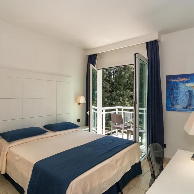 غرفة كلاسيكية بسرير مزدوج، Hotel Central Park 3/10