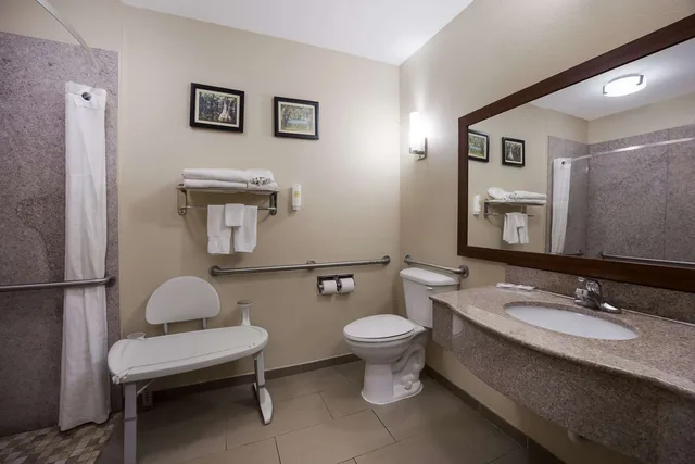 غرفة بسرير كينج لذوي الإعاقة، Comfort Inn & Suites Midway - Tallahassee West 4/4