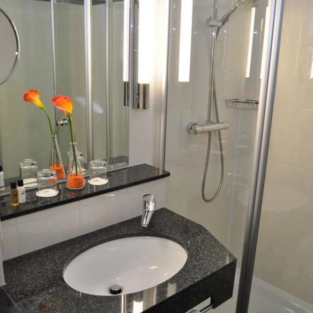 غرفة كومفورت مفردة، Ringhotel Zweibruecker Hof 4/6