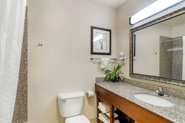 غرفة قياسية بسرير كينج، Comfort Inn And Suites 3/3
