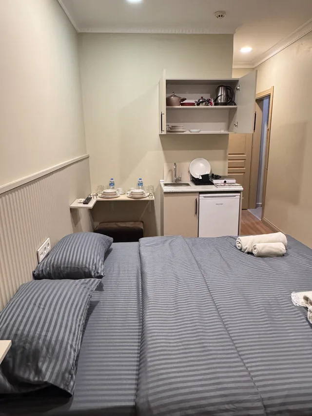 Comfort, Studio, Renova Hotel Fatih 6/9