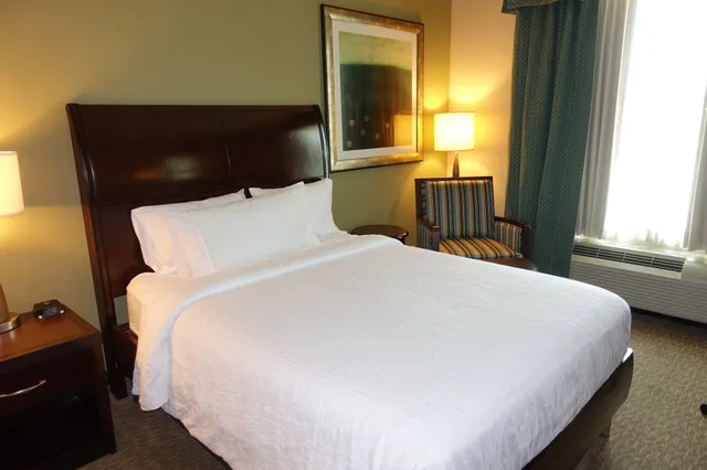 Evolution, King Bed، Hilton Garden Inn Houston/Pearland 5/6
