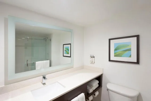 Standard, Double Bed, Resort View، Holiday Inn Resort Aruba-Beach 4/4