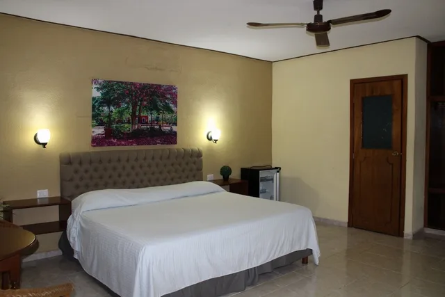 غرفة قياسية بسرير كينج، SUITE HOTEL MARIA DE LA LUZ 2/10