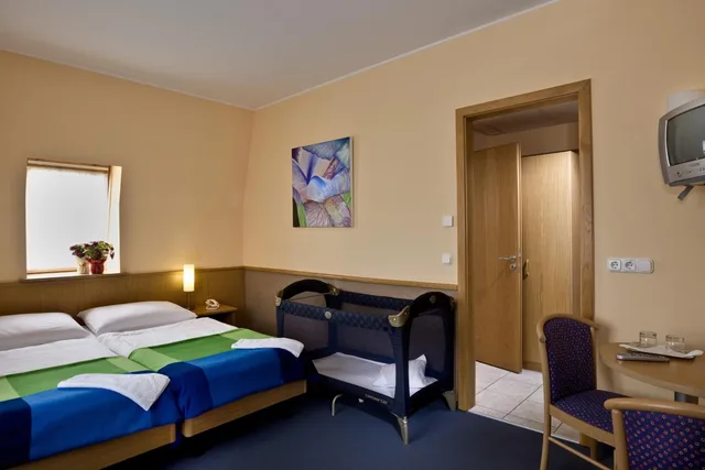 شقة بغرفة نوم واحدة، Jagello Business Hotel 1/7