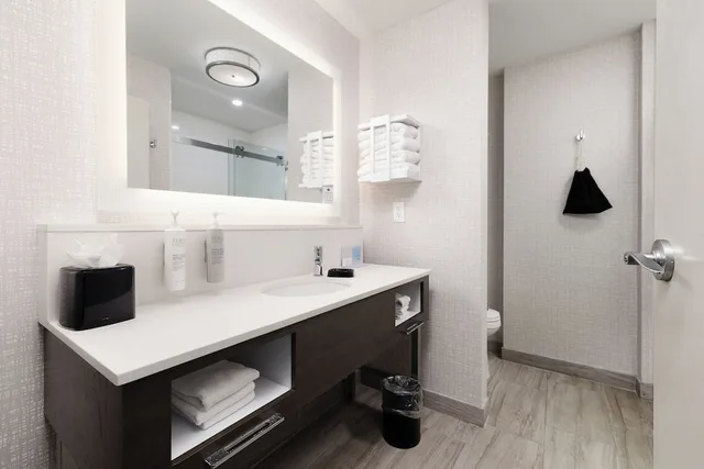 غرفة بسرير كينج مع أريكة لذوي الإعاقة، Hampton Inn Suites Mcallen 10/10