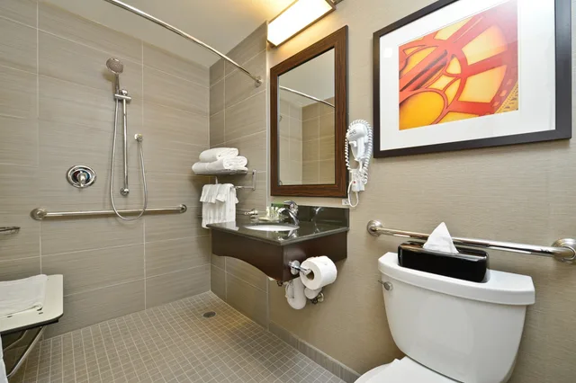 غرفة بسريرين مزدوجين، Holiday Inn Lower East Side 5/7