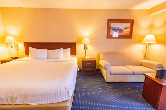غرفة مفردة بسرير كينج، Wyndham Garden Monterrey Norte 1/4
