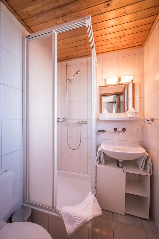 Mountain, Double Bed, Mountain View, Balcony، Hotel Beausite Beatenberg 2/2