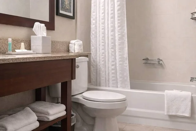 غرفة ديلوكس بسرير كينج، Comfort Inn Farmington Hills - Detroit Northwest 8/8