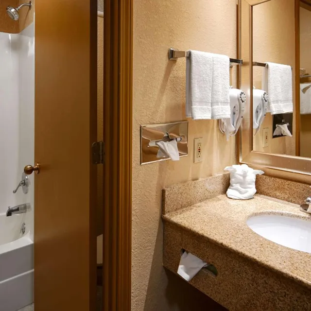 Deluxe, King Bed, Best Western Martinsville Inn 10/10